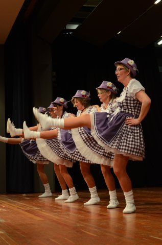 umzug simmern_140301_vb_339